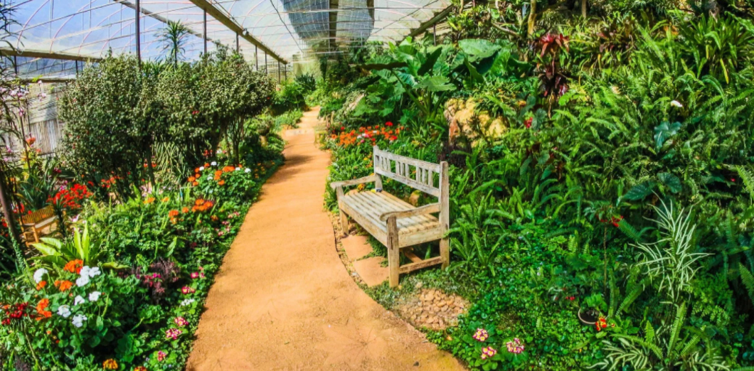 Why Use Twin-Wall Polycarbonate Sheet To Build Greenhouses