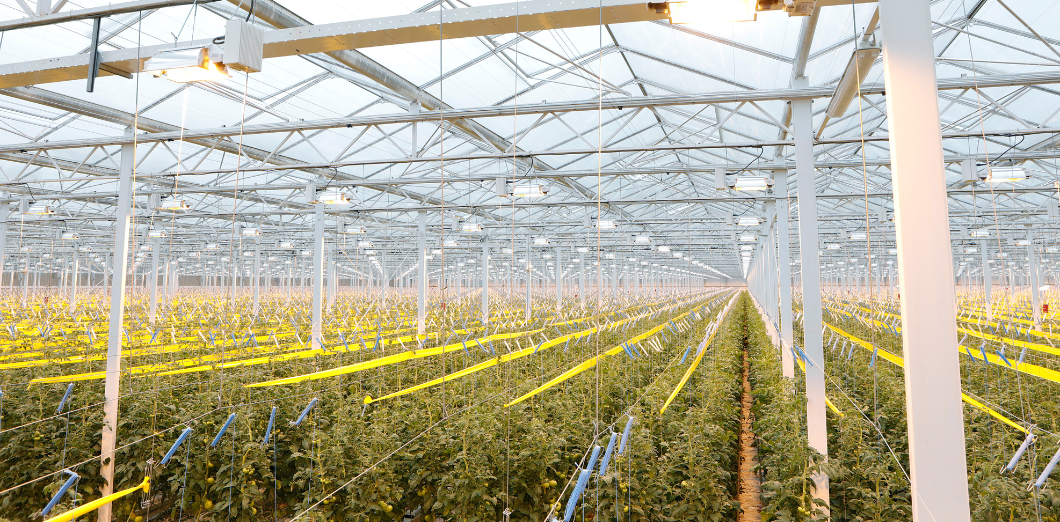 The Benefits of Twinwall Polycarbonate Panels for Energy-Efficient Construction